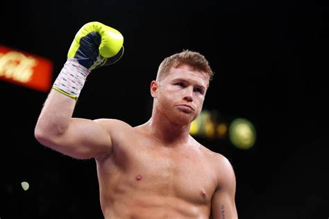 Canelo álvarez wiki